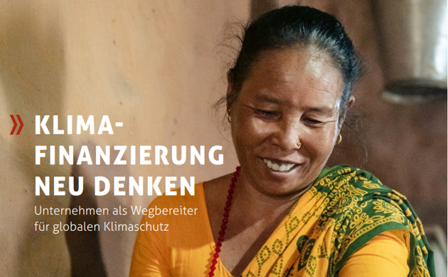 Klimafinanzierung neu denken: Unternehmen als Teil der Lösung